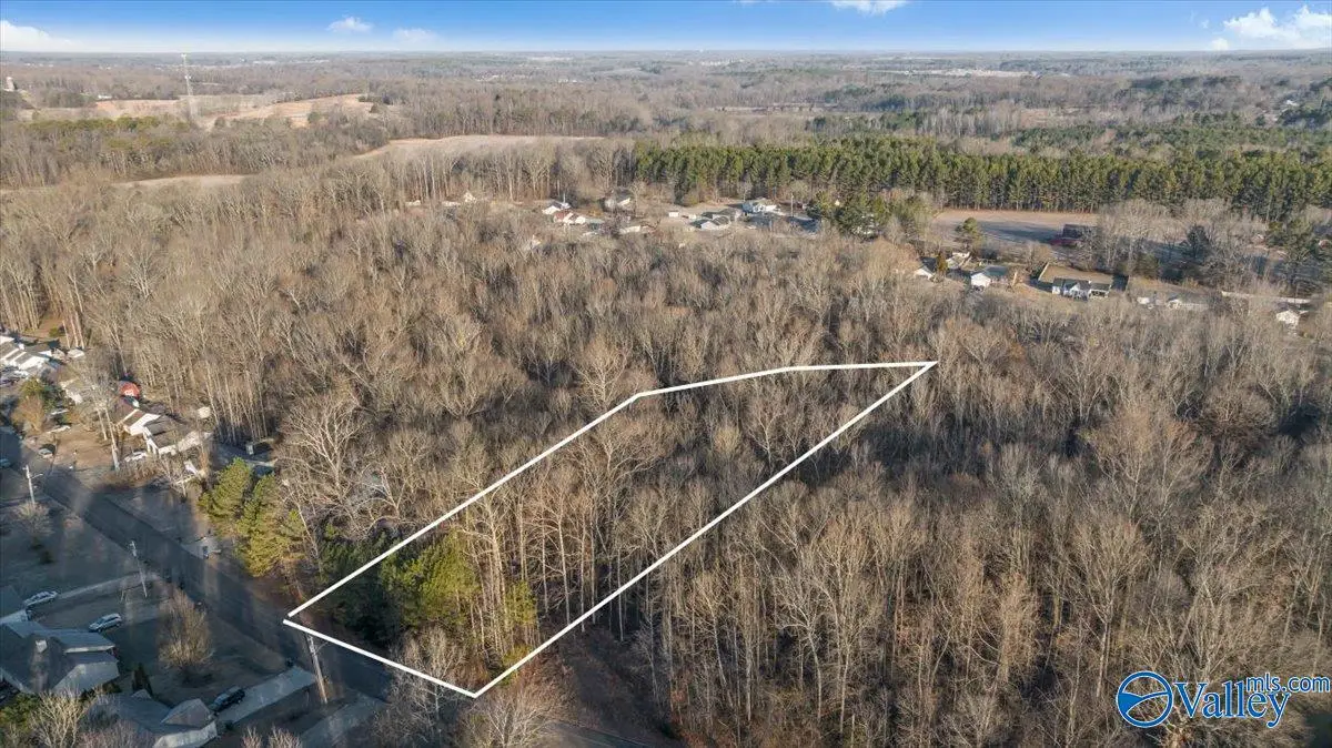 351 Buffalo Creek Drive, Toney, AL 35773 - Image #1