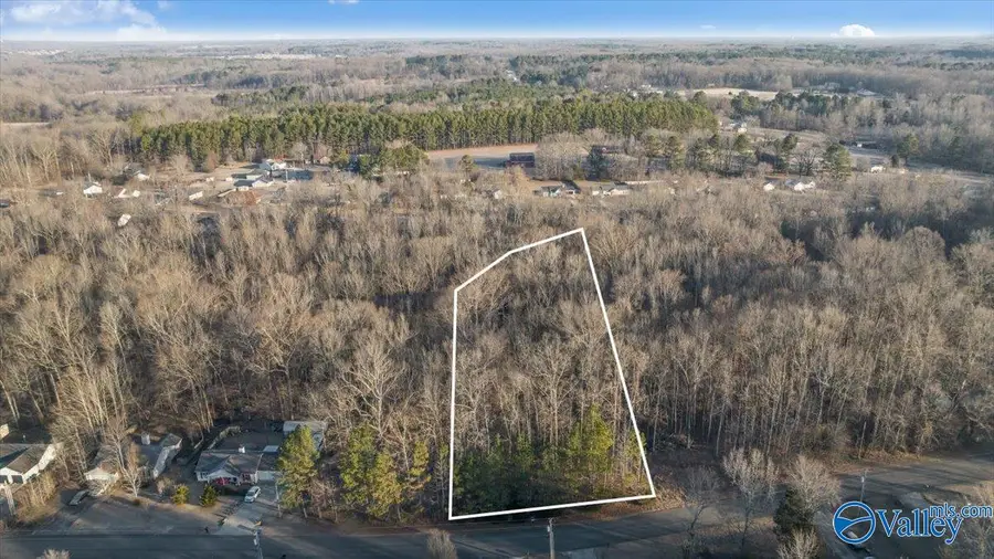 351 Buffalo Creek Drive, Toney, AL 35773 - Image #3