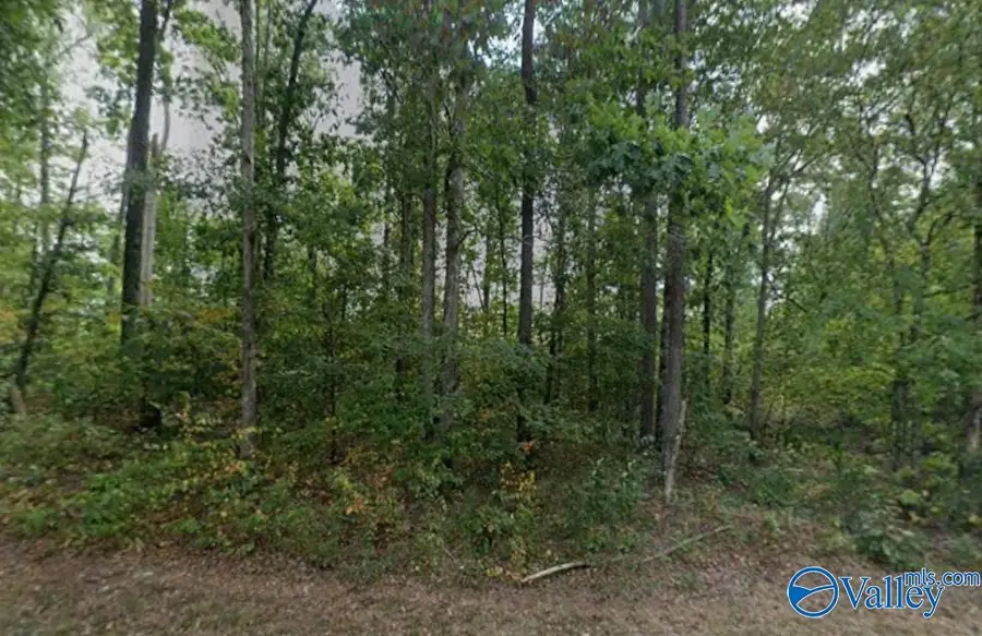12.16 ACRES Bruce Road, Boaz, AL 35957 - Image #3