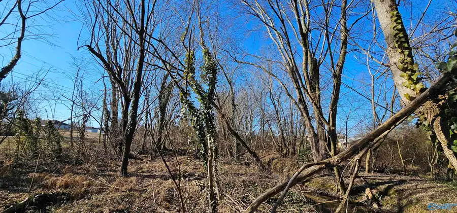 1 +/- Acre Alabama Highway 227, Geraldine, AL 35974 - Image #2