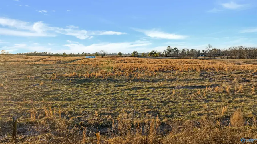4321 County Road 429, Fyffe, AL 35971 - Image #3