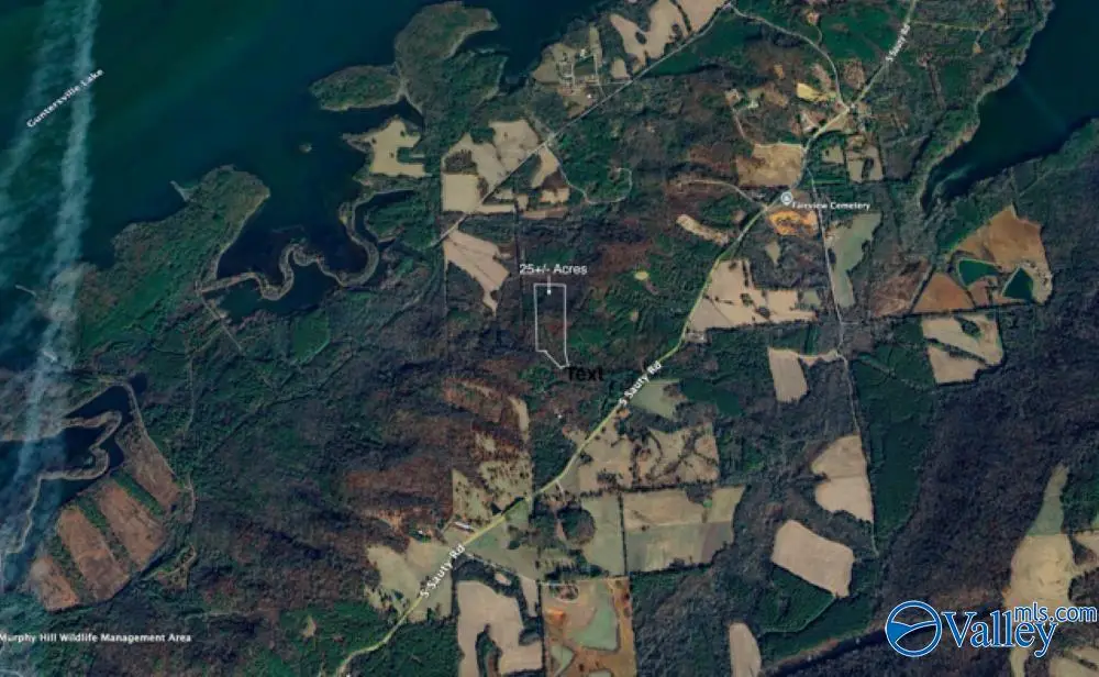 24.7 acres South Sauty Road, Langston, AL 35755 - Image #1