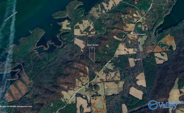 24.7 acres South Sauty Road, Langston, AL 35755