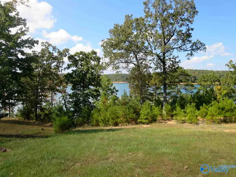 lot 23 County Road 51, Bremen, AL 35033 - Image #2