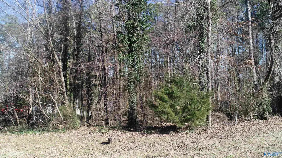 3406 Cedarhurst Drive Sw, Decatur, AL 35603 - Image #3