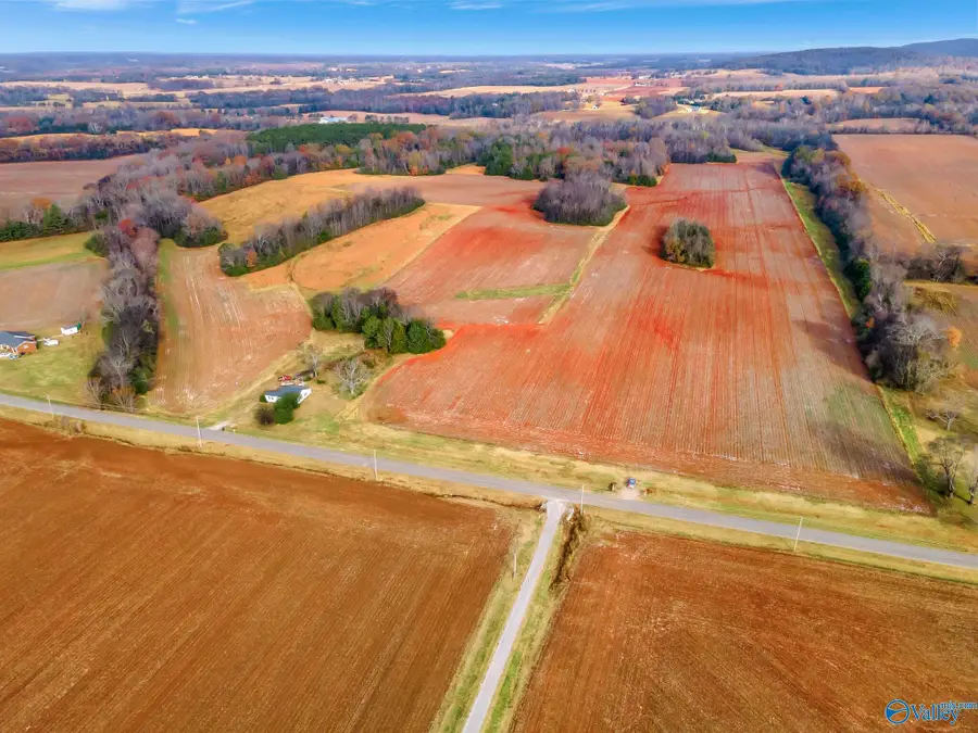 819 & 0 Hurricane Road, New Market, AL 35761 - Image #2