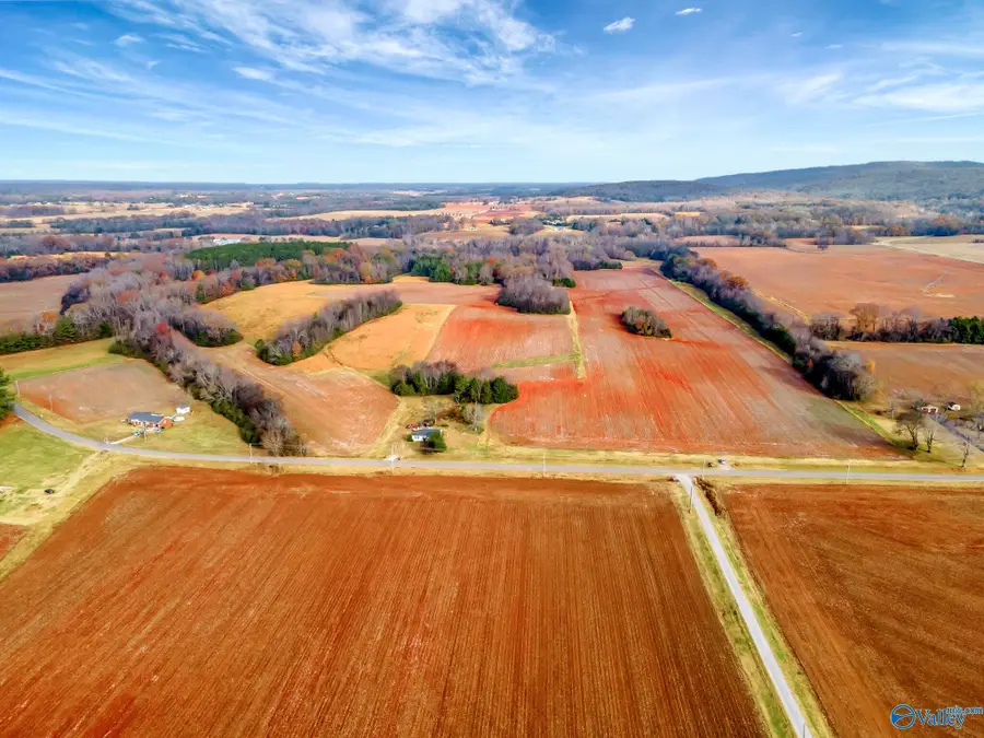 819 & 0 Hurricane Road, New Market, AL 35761 - Image #3