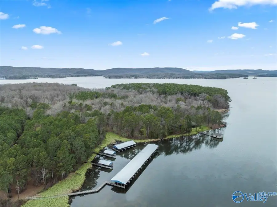 690 John Cabaniss Road, Langston, AL 35755 - Image #3