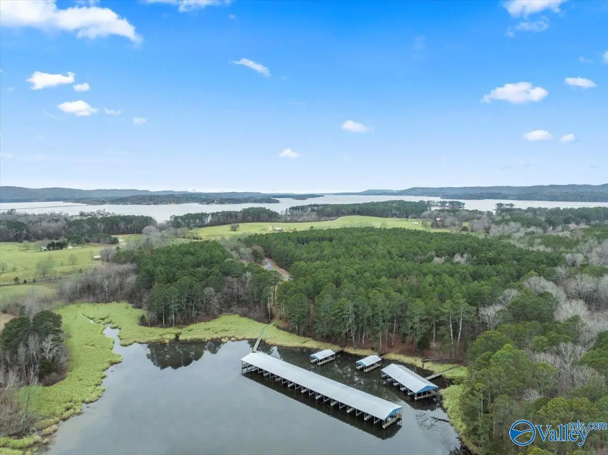 575 John Cabaniss Road, Langston, AL 35755 - Image #1