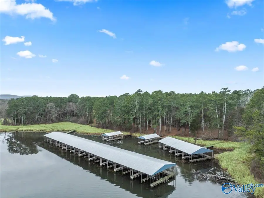 575 John Cabaniss Road, Langston, AL 35755 - Image #2