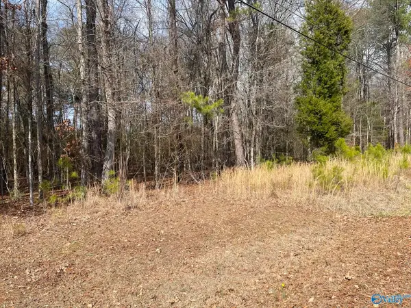 Lot 4 Indian Lake Drive, Rainbow City, AL 35906