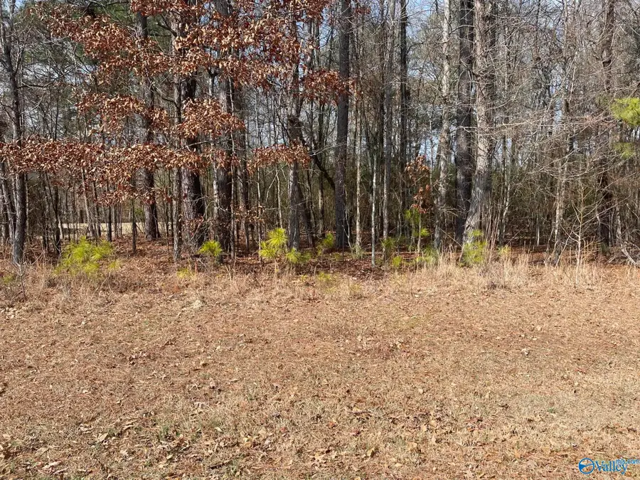 Lot 4 Indian Lake Drive, Rainbow City, AL 35906 - Image #2