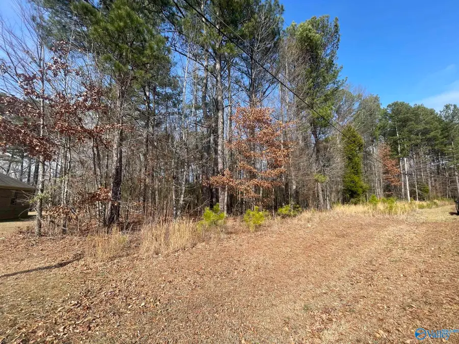 Lot 4 Indian Lake Drive, Rainbow City, AL 35906 - Image #3