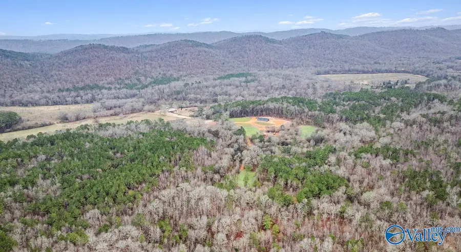 8355 Duck Springs Road, Attalla, AL 35954 - Image #2