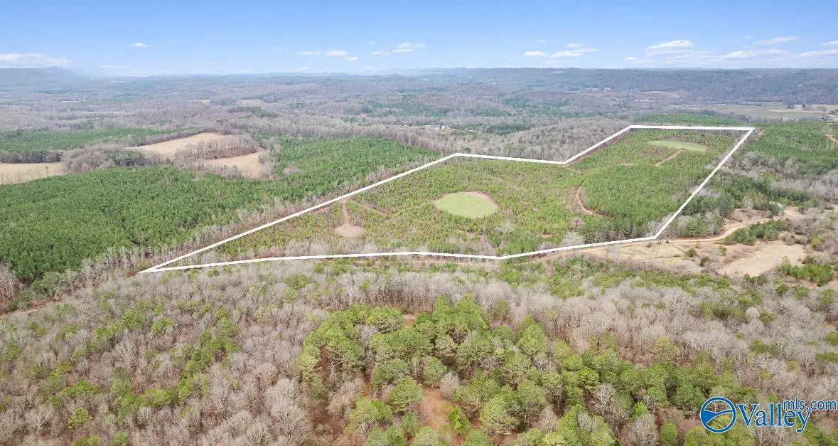 1 County Road 288, Collinsville, AL 35961 - Image #1