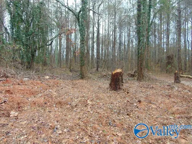 7 acres Carters Gin Road, Toney, AL 35773 - Image #1