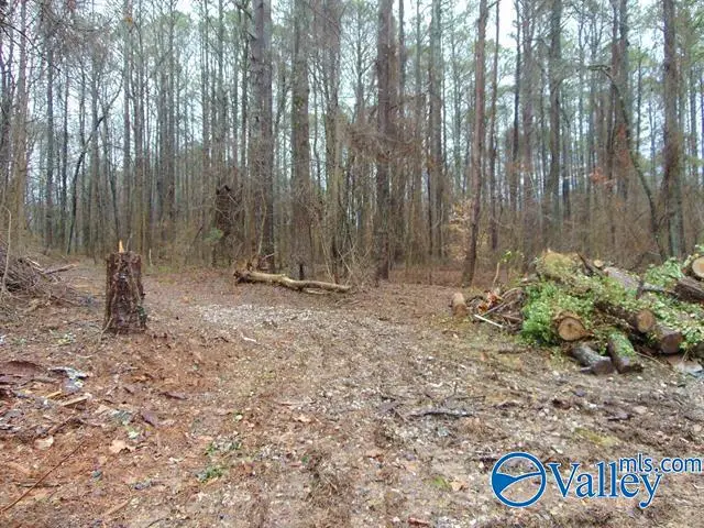 7 acres Carters Gin Road, Toney, AL 35773 - Image #2