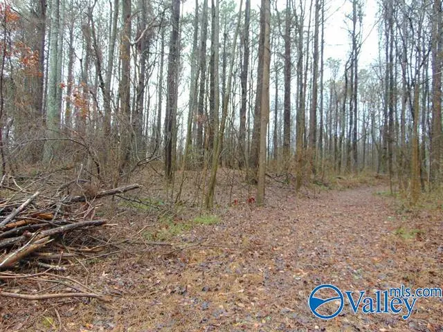 7 acres Carters Gin Road, Toney, AL 35773 - Image #3