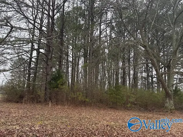 LOT 1 South Road, Athens, AL 35613 - Image #1