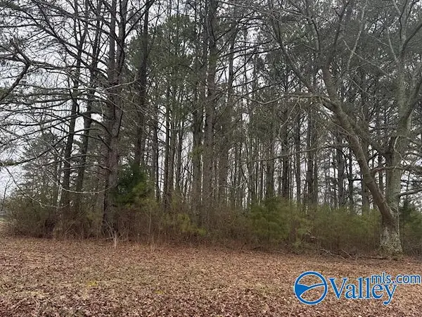 LOT 1 South Road, Athens, AL 35613
