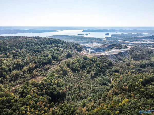 63 Mccorkle Mountain Road, Scottsboro, AL 35769