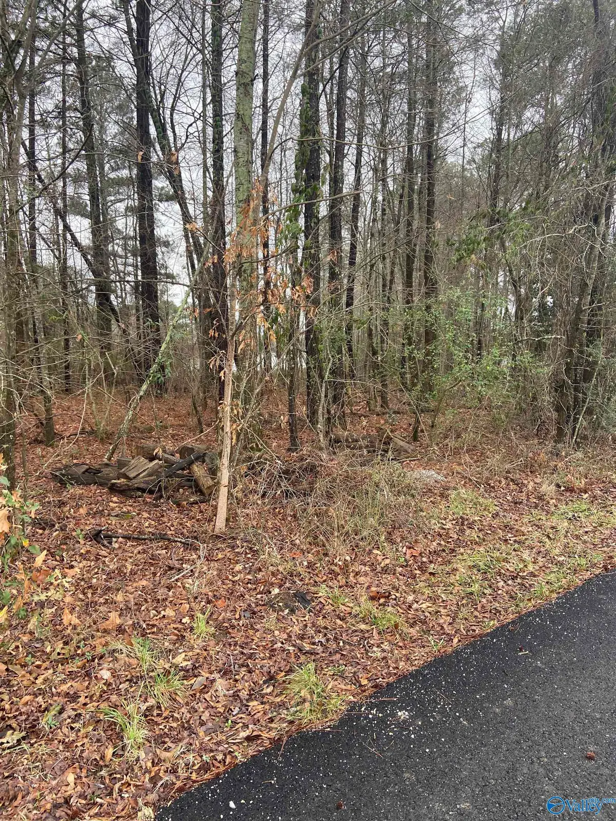 .3+/- Acres Bridge Point Road, Southside, AL 35907 - Image #1