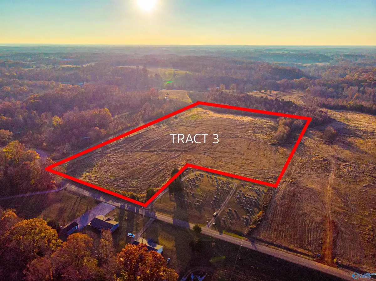 Tract 3 County Road 35, Lexington, AL 35648 - Image #1