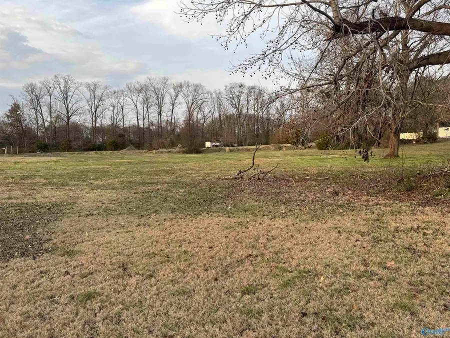 13767 Hatchie Lane, Athens, AL 35611 - #2