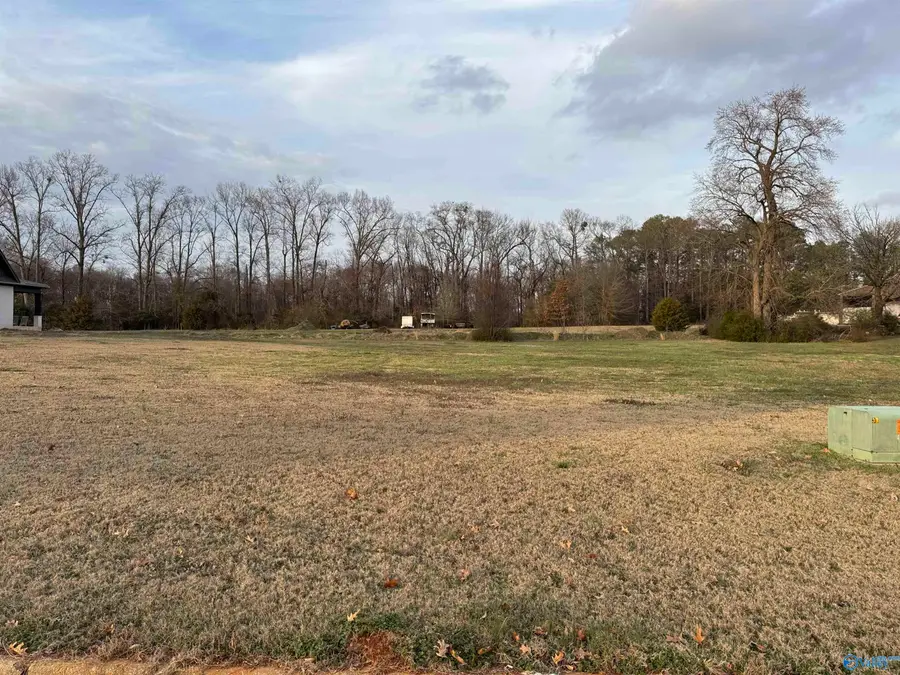 13787 Hatchie Lane, Athens, AL 35611 - Image #2