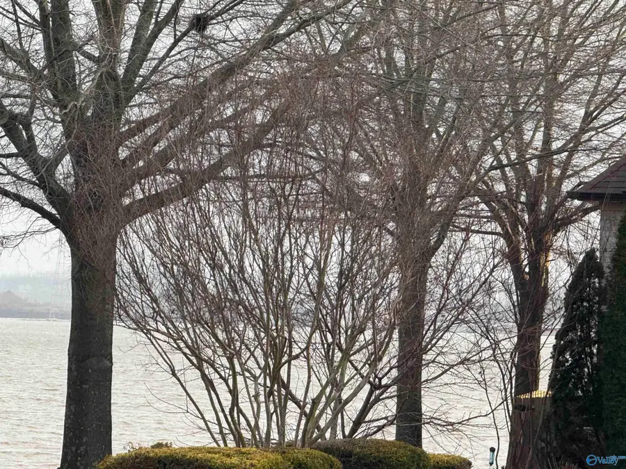 13787 Hatchie Lane, Athens, AL 35611 - Image #3