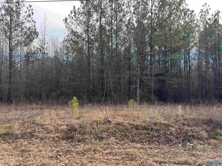 23 +/- Acres Northwood Drive, Centre, AL 35960 - Image #3