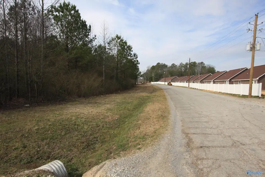 9.06 ac Old Highway 411, Centre, AL 35960 - Image #3