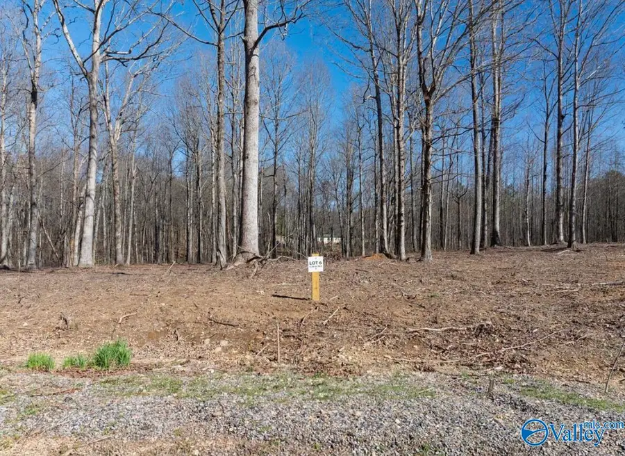 Lot 6 County Road 825, Scottsboro, AL 35768 - Image #3