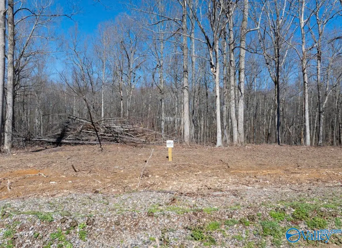 Lot 7 County Road 825, Scottsboro, AL 35768 - Image #1