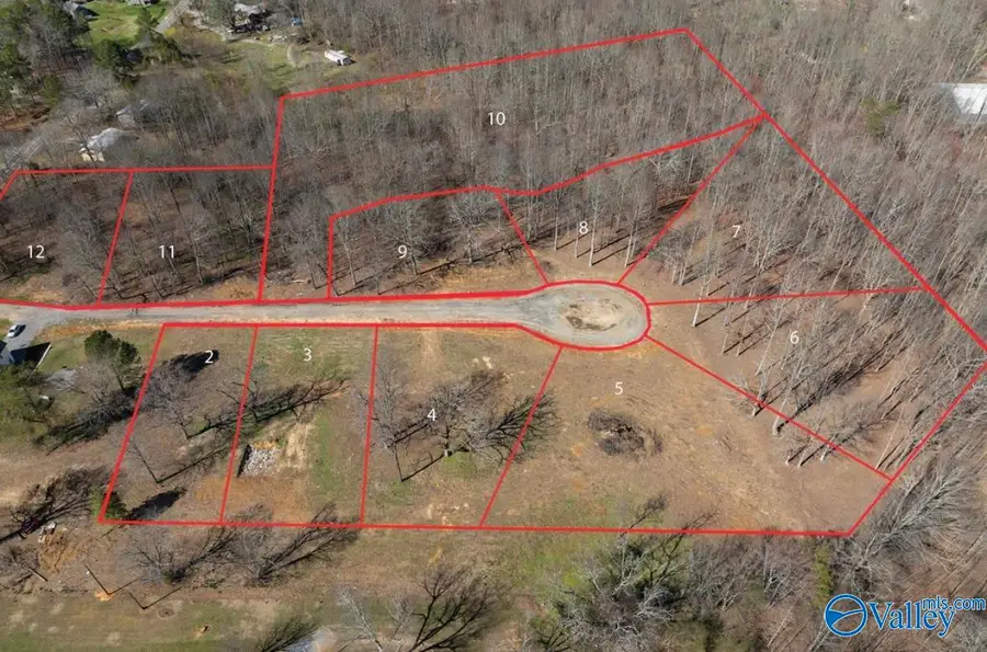 Lot 8 County Road 825, Scottsboro, AL 35768 - Image #2