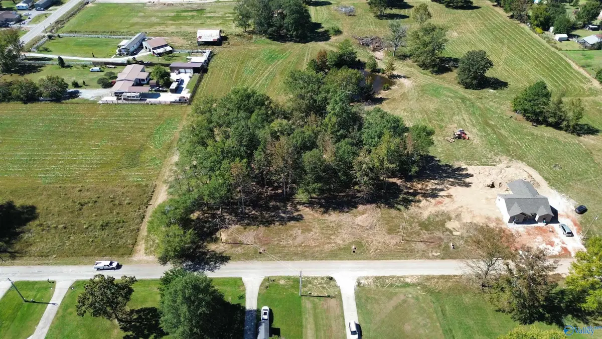 25093 Guthrie Road, Elkmont, AL 35620 - Image #1