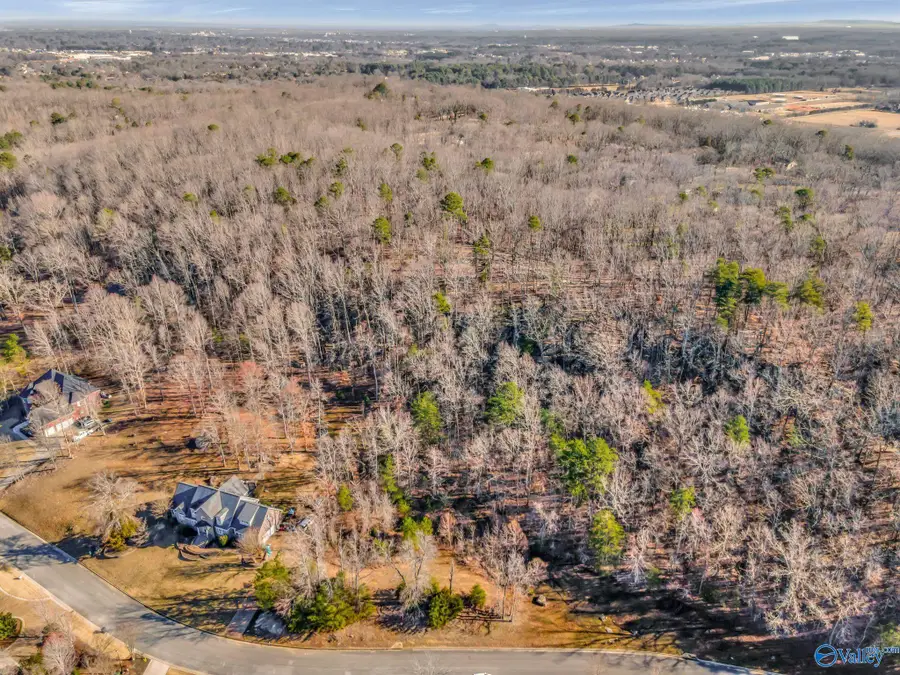 1618 Lake Cove Drive Sw, Decatur, AL 35603 - Image #3