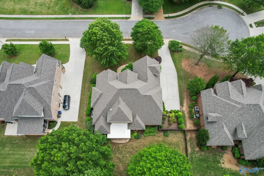 110 Shoreline Drive, Madison, AL 35758 - Image #3