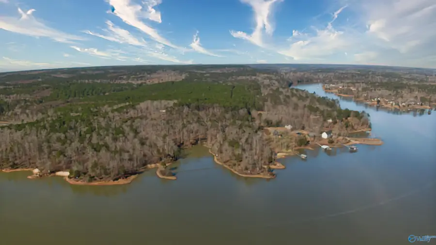 41 acres Big Bear Branch Road, Double Springs, AL 35553 - Image #2