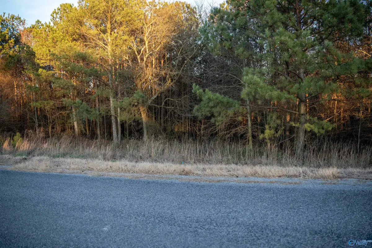 1191 Allen Road, Boaz, AL 35956 - #1