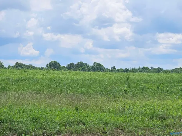 114 Treva Lane, Hazel Green, AL 35750