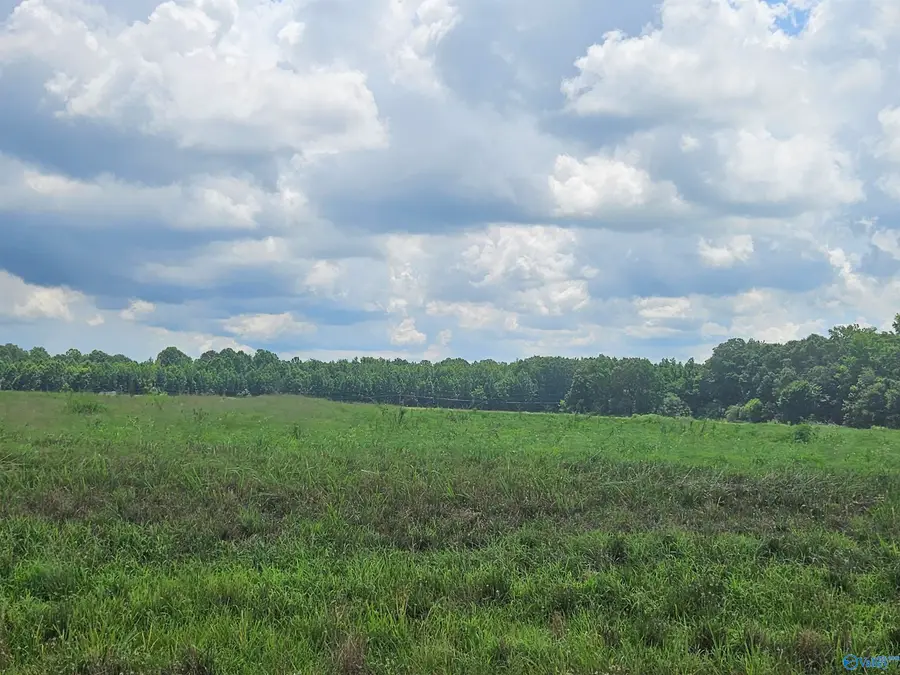 114 Treva Lane, Hazel Green, AL 35750 - Image #3