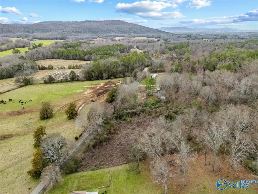 4 Acres County Road 42, Hollywood, AL 35752 - Image #3