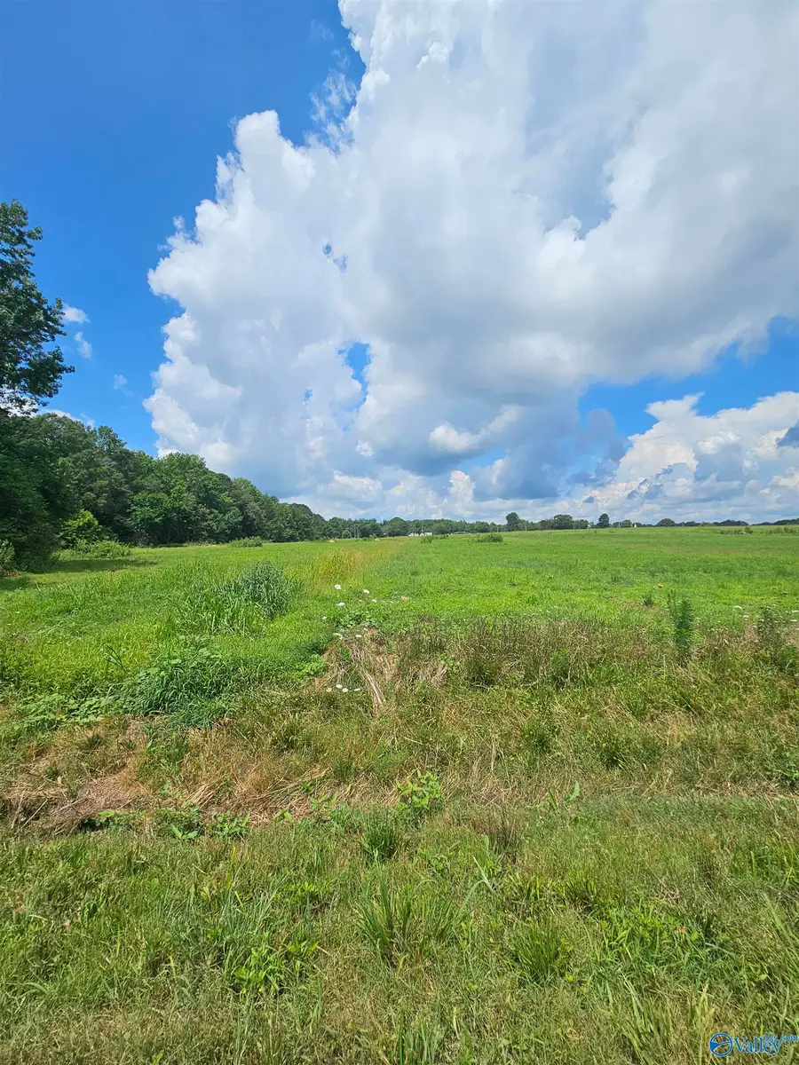 Lot 5 Scott Road, Hazel Green, AL 35750 - Image #2