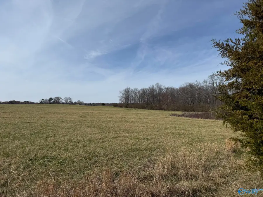 40 ac County Road 131, Bryant, AL 35958 - Image #2
