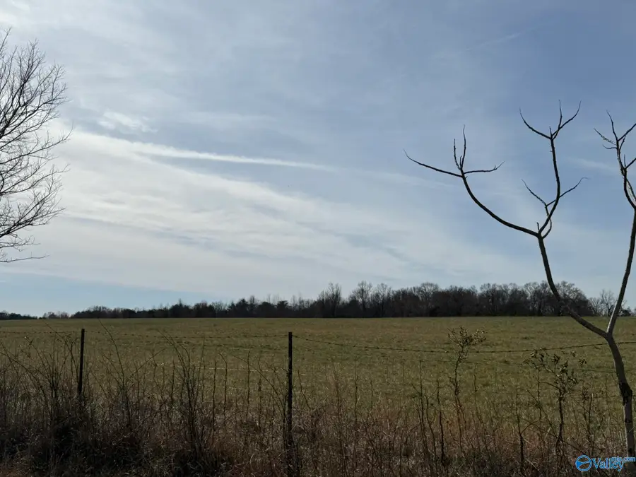 40 ac County Road 131, Bryant, AL 35958 - Image #3
