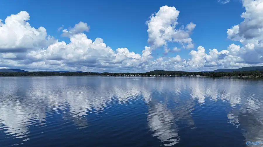 223 Pinewood Drive, Langston, AL 35755 - Image #2