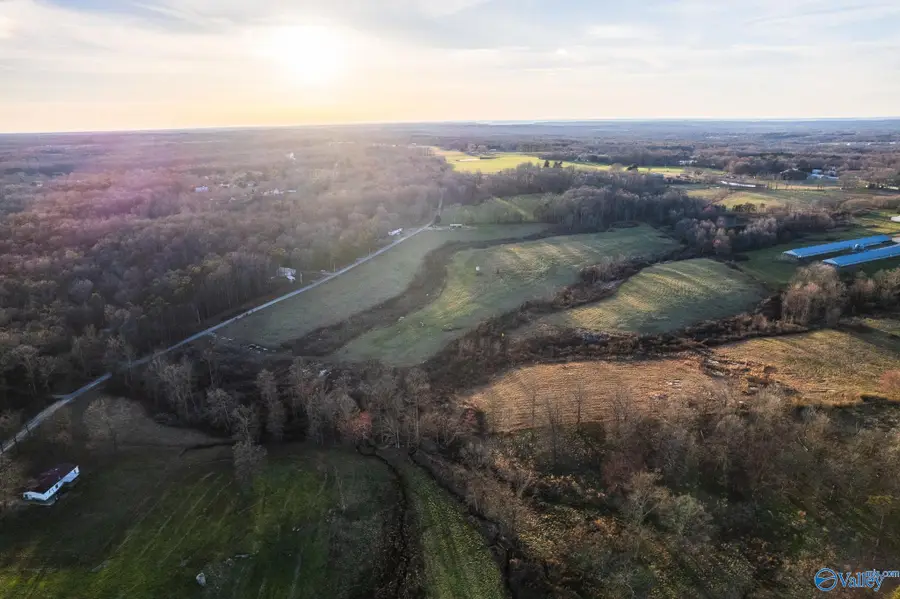 PIN# 44096 County Road 790, Ider, AL 35981 - Image #2