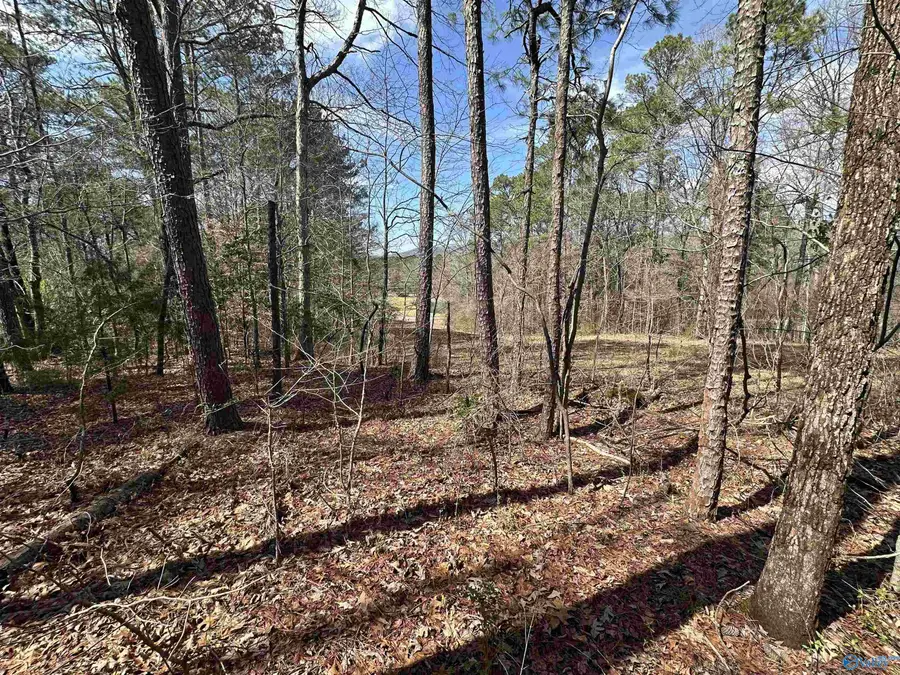 Lot 0 Dearmanville Road, Anniston, AL 36207 - Image #2