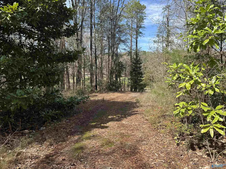 Lot 0 Dearmanville Road, Anniston, AL 36207 - Image #3